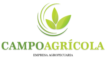 logo cliente 24